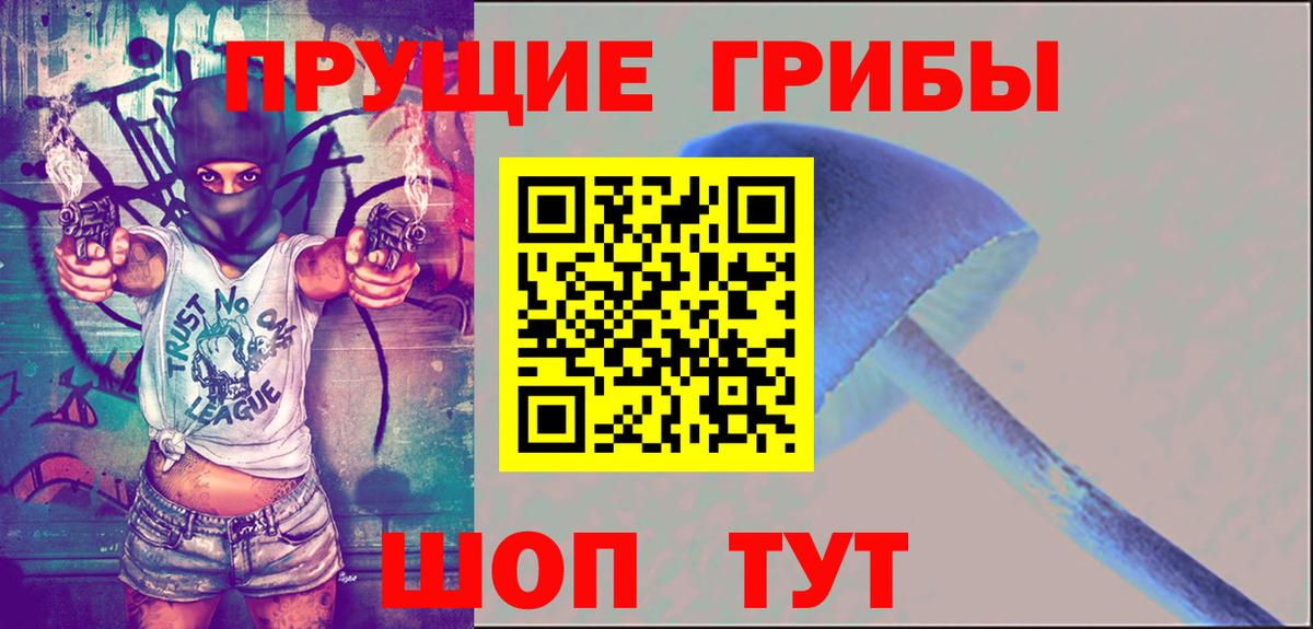 Тобольск  Псилоцибиновые грибы ЛСД  Вход с VPN 